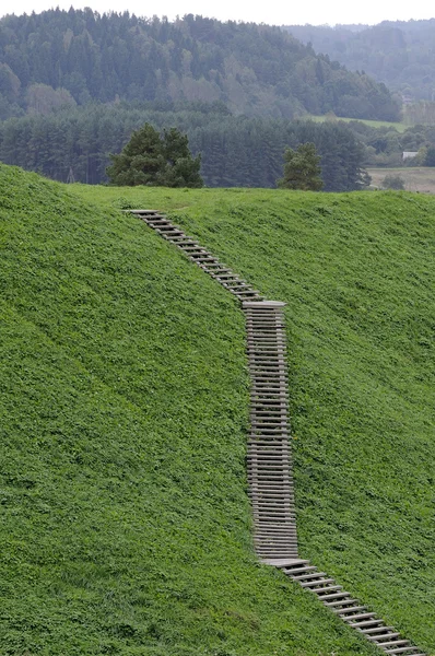 Wooden Ladder Located Grassed Hill Slope — Stock Photo, Image