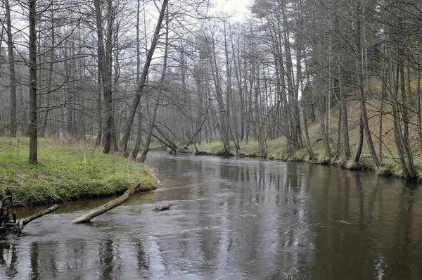 Rwąca rzeka krajobraz wiosną — Zdjęcie stockowe