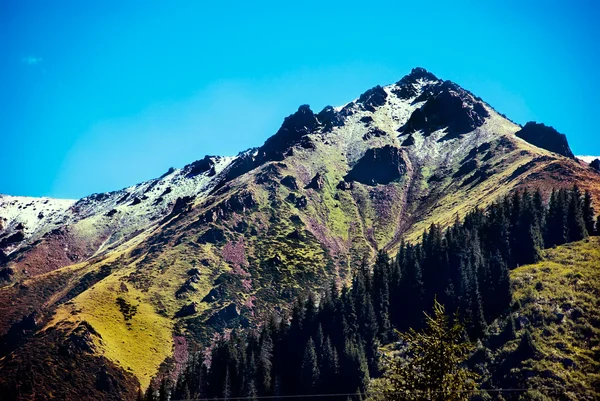 Montagne montane — Foto Stock