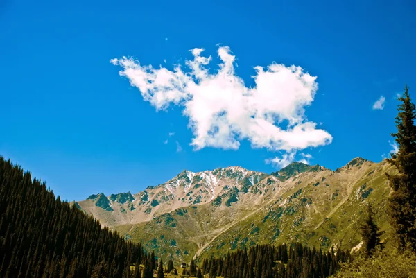 Hermoso Paisaje Las Altas Verdes Montañas Cubiertas Pinos —  Fotos de Stock