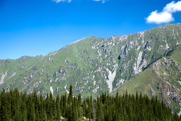 Unas Enormes Montañas Rocosas Cubiertas Vegetación Pinos —  Fotos de Stock