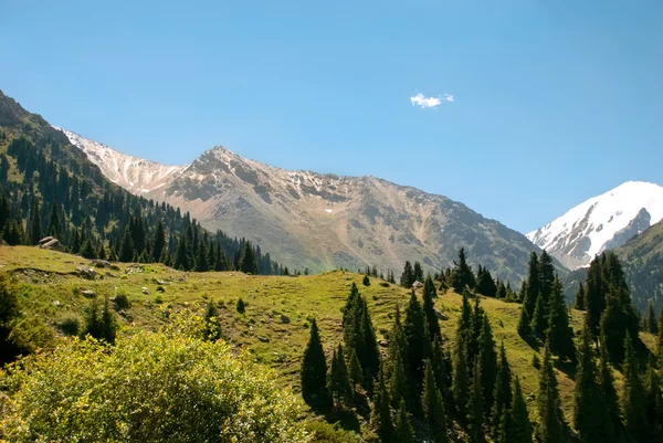 HIGHLANDEN — Stockfoto