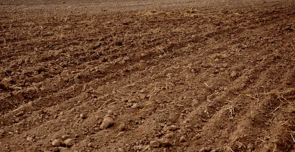 Ploughed field Stock Image