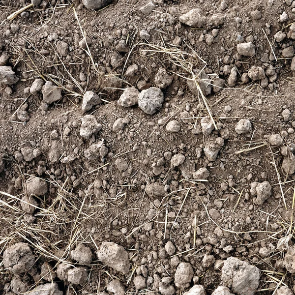 Коричневая Почва Сельскохозяйственного Поля — стоковое фото