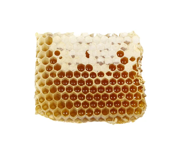 Um pedaço de favo de mel com mel — Fotografia de Stock