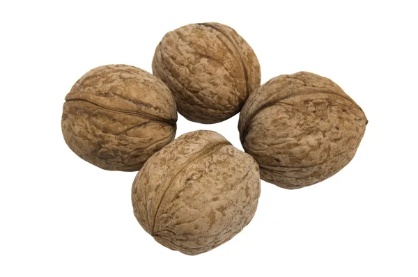 Circassian walnut isolated on white background — Stock Photo, Image
