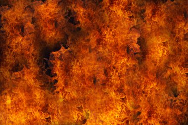 Burning fire close-up, may be used as background clipart