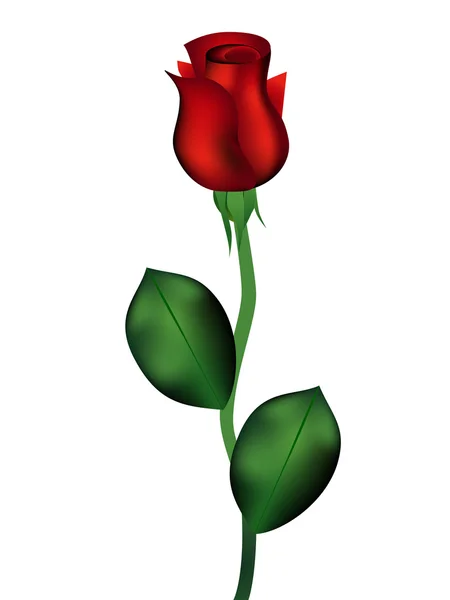 Single red rose Stock Vector Image by ©corneliap #11785263