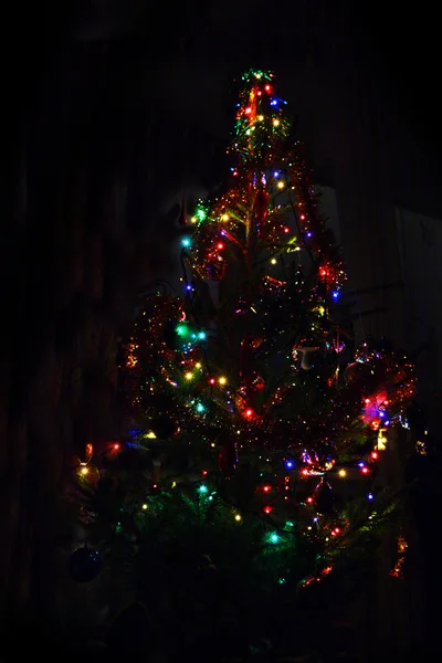 Weihnachtstanne mit Beleuchtung — Stockfoto
