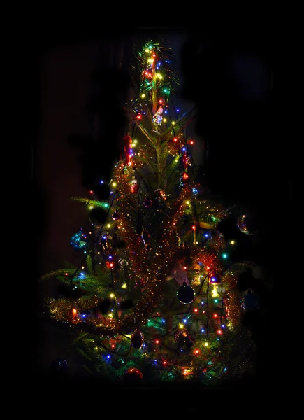 クリスマスの照明ともみ — ストック写真