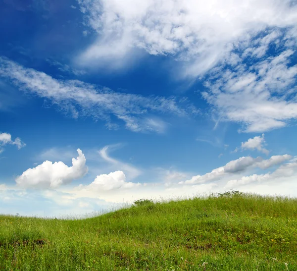 Zielona trawa wzgórze — Zdjęcie stockowe