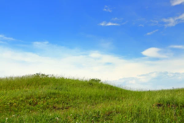 Zelené trávě hill — Stock fotografie