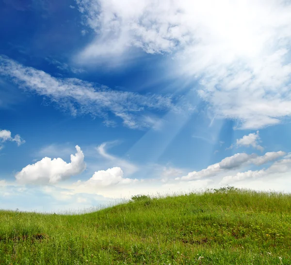 緑の芝生の丘 — ストック写真