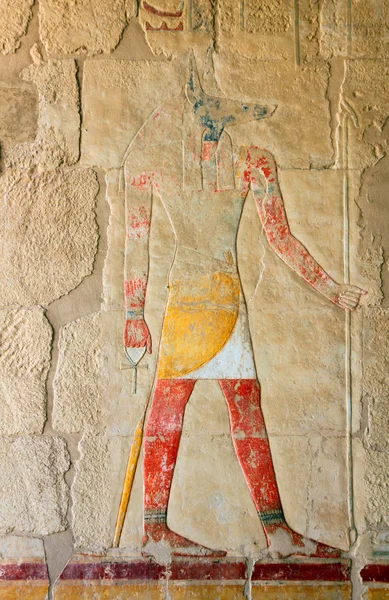 阿努比斯 古代埃及卢克索在墙上的彩色图像 — 图库照片