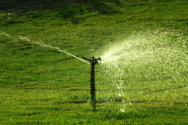 喷水绿色草坪浇水在阳光灿烂的日子 — 图库照片