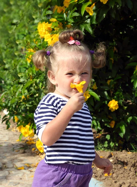Little girl smelling flower — Stock Photo, Image