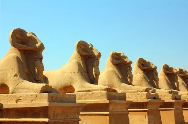 Statues Égyptiennes Antiques Sphinx Dans Temple Karnak Louxor — Photo