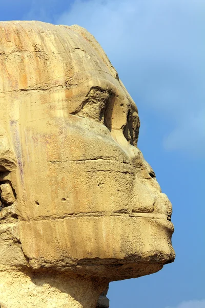 Famosa Cara Esfinge Egipto Antiguo Giza — Foto de Stock