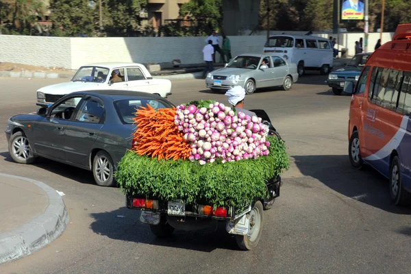 Ägyptischer Bauer trägt Karotten und Radieschen — Stockfoto