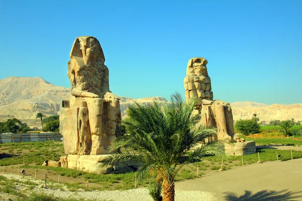 Memnon luxor Mısır colossi — Stok fotoğraf