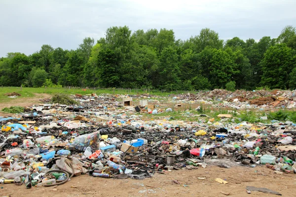 Garbage in landfill near forest