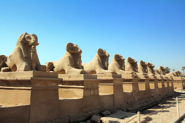 Egypt statues of sphinx in karnak temple — Stock Photo, Image