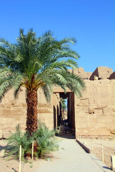 Famoso templo karnak en Luxor — Foto de Stock