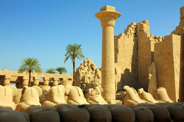 Spalte und Statuen der Sphinx im Karnak-Tempel — Stockfoto