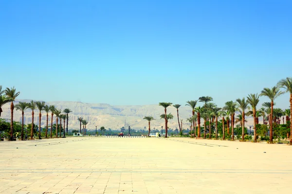 Площадь перед храмом Карнака в Египте — стоковое фото