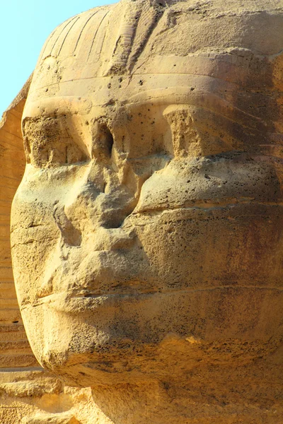 Egypten sphinx ansikte — Stockfoto