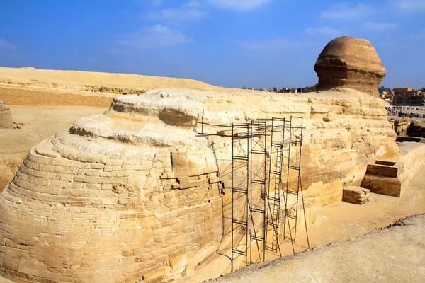 著名埃及狮身人面像在从背后吉萨 — 图库照片