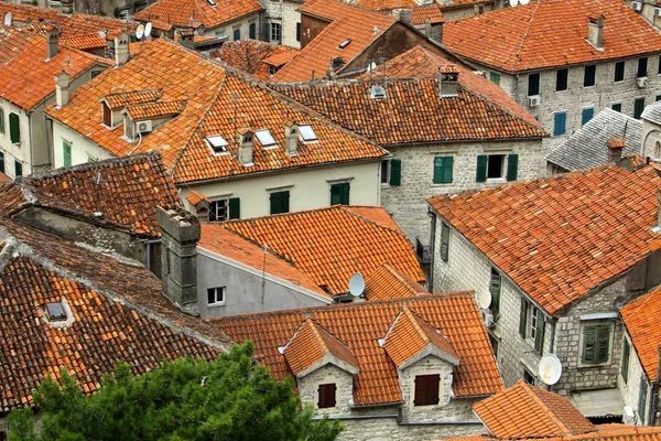 Kotor Óváros, Montenegró — Stock Fotó
