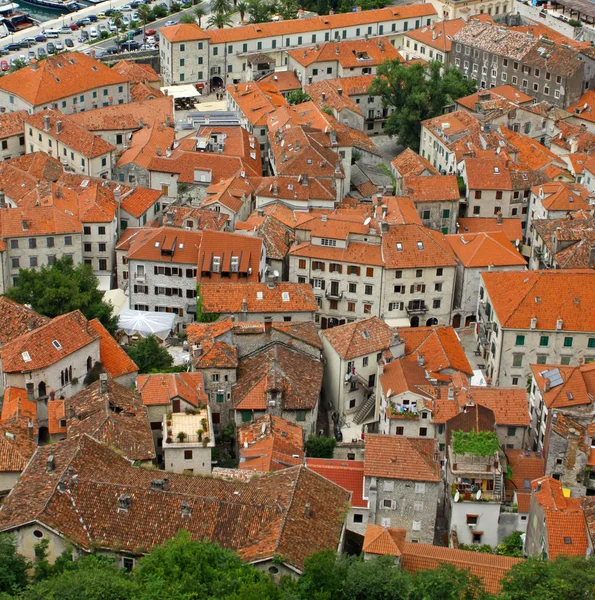 Kotor cidade velha, Montenegro — Fotografia de Stock