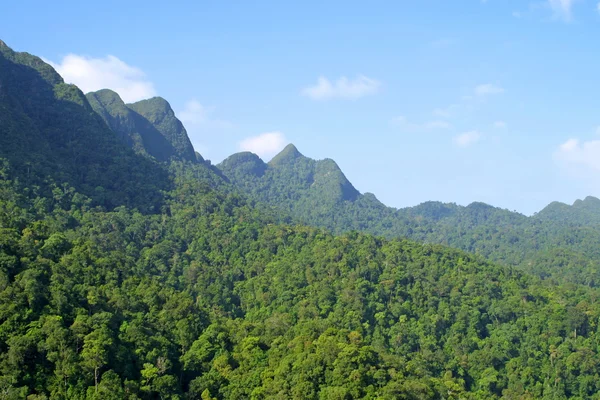 Esőerdő hills a langkawi-szigeten — Stock Fotó