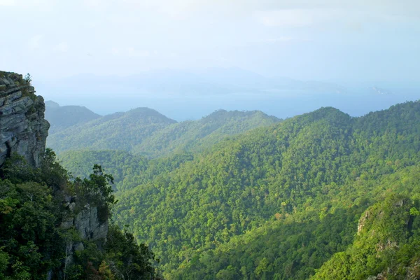 Colinas da floresta tropical na ilha de Langkawi — Fotografia de Stock
