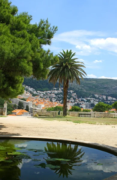 Vieille Ville Dubrovnik Croatie Vue Parc Gradac — Photo