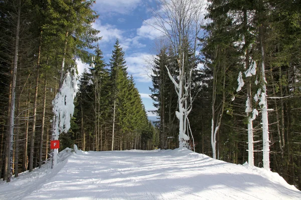 乌克兰 bukovel 度假村滑雪轨道 — 图库照片