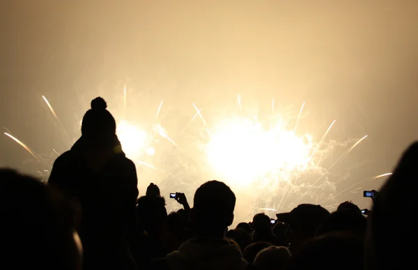 Watching New Year`s Fireworks — Stock Photo, Image
