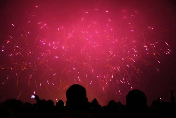 Regarder le Nouvel An feux d'artifice — Photo