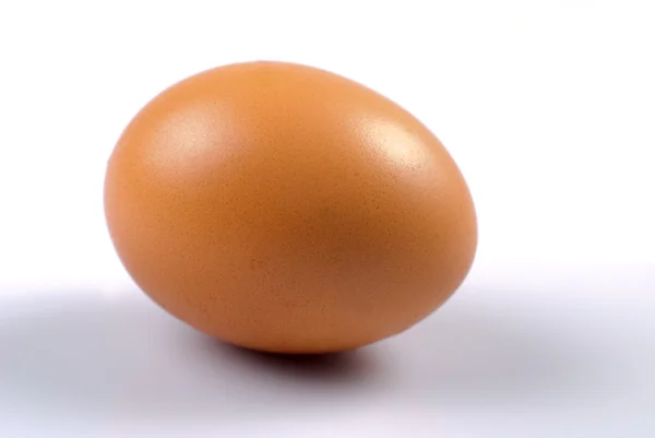 Яйцо изолировано — стоковое фото