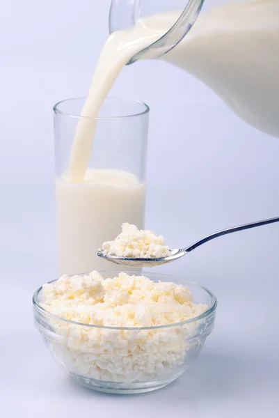 Milk and curds — Stock Photo, Image