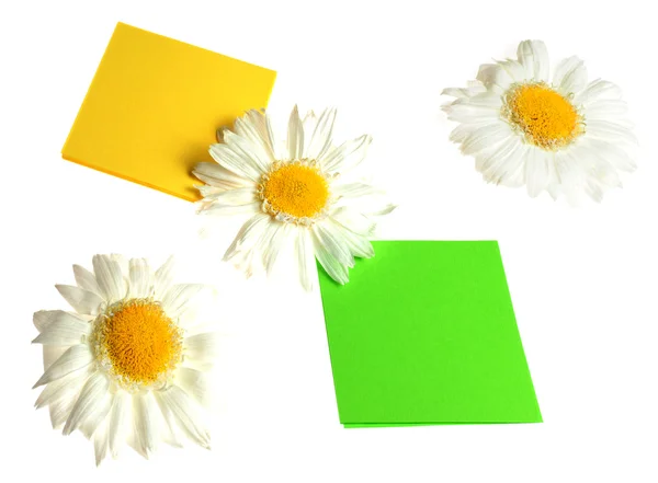 Adesivos com flores — Fotografia de Stock