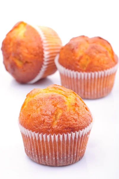 Muffins isolerade — Stockfoto