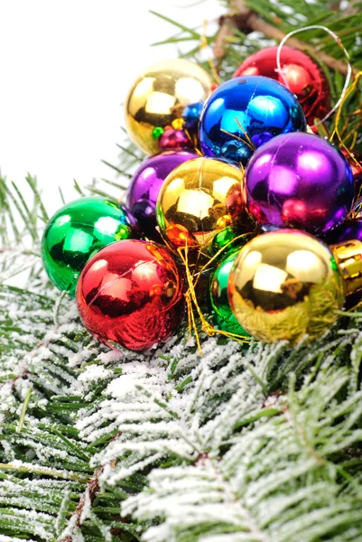 Kerstdecoratie op tak van de zilverspar — Stockfoto