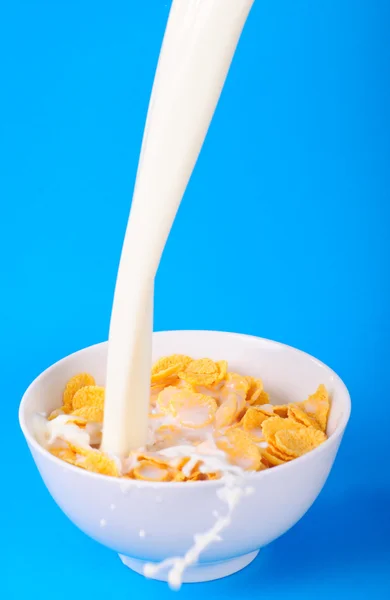Cornflakes en gieten melk — Stockfoto