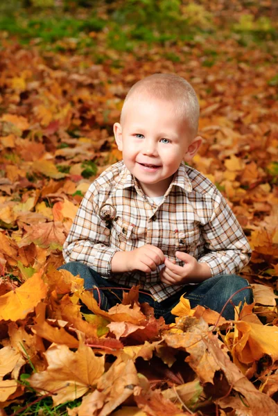 stock image Boy in autumn leaves