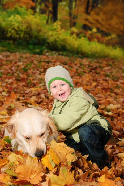 가을 나뭇잎 소년 — 스톡 사진