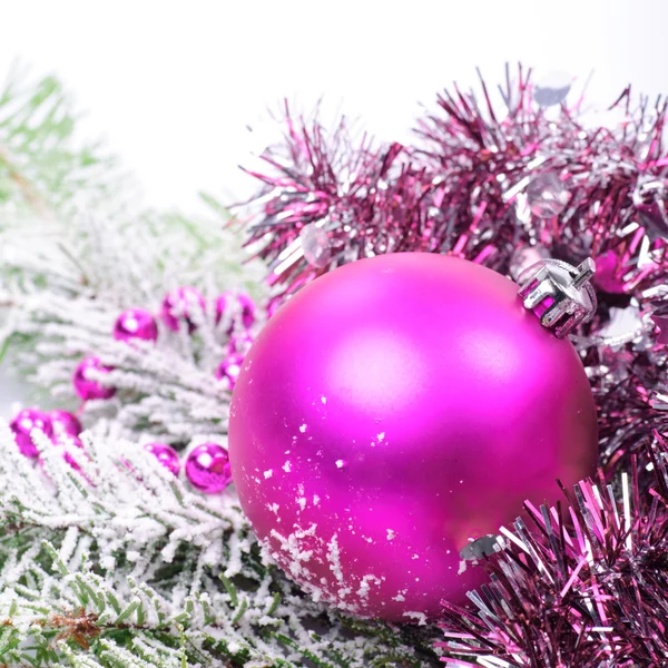 Christmas pink with snow — Stock Photo, Image