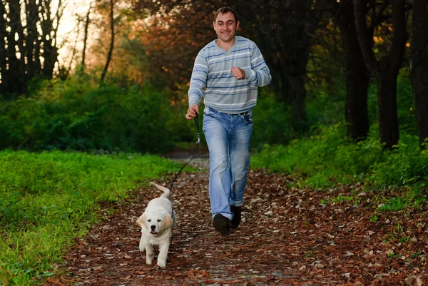 stock image Golden retriever and man in park