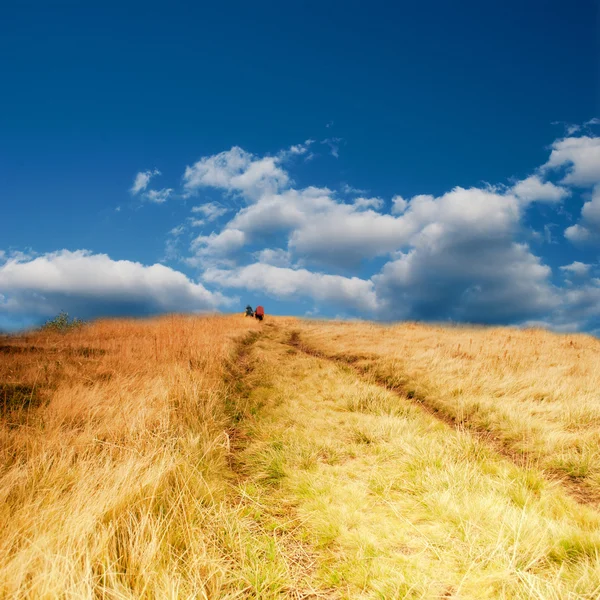 Droga Nieba Panorama Górska Ścieżka Błękitne Niebo — Zdjęcie stockowe